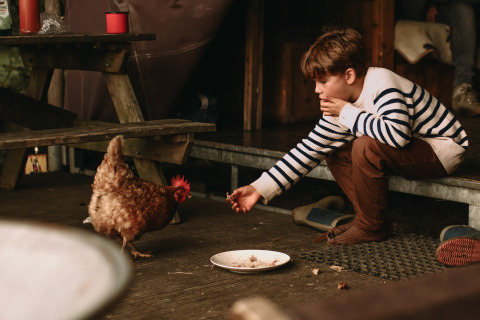 Een jongen in een gestreepte trui voert met de hand een kip bij een picknicktafel in een vakantiepark in Gelderland, Nederland.