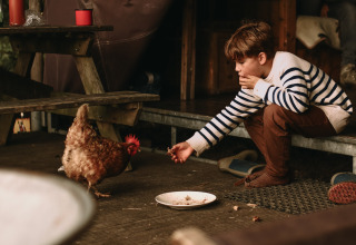 Un garçon en pull rayé nourrit une poule à la main près d'une table de pique-nique dans un parc de vacances à Gelderland, Pays-Bas.