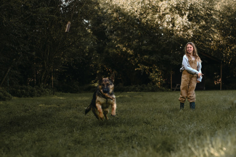 Ein Mädchen spielt im Gras in der Nähe von Ophemert, Gelderland, Niederlande, mit ihrem Schäferhund.