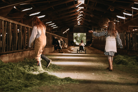 Children playing in a barn with fresh hay at Feather Down Hoeve De Pippert holiday park in Gelderland, Netherlands.