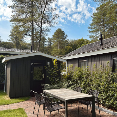 Vista exterior en Bos Cottage Deluxe en De Thijmse Berg, Países Bajos, con mesa, sillas y vegetación.