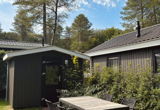 Vista exterior en Bos Cottage Deluxe en De Thijmse Berg, Países Bajos, con mesa, sillas y vegetación.