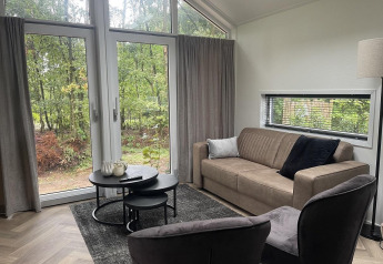 Woonkamer in Bos Cottage Deluxe op De Thijmse Berg, Nederland, met grote ramen en moderne inrichting.