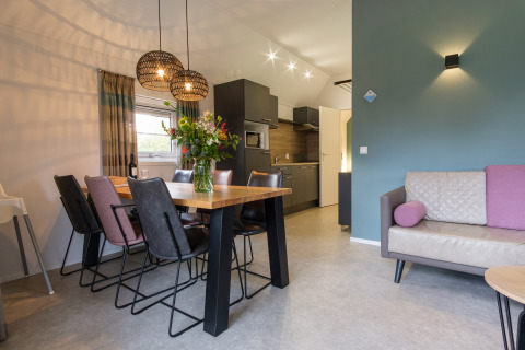 Modernes Wohnzimmer und Essbereich in der Vechtdallodge, Kampeerdorp de Zandstuve, mit offener Küche.