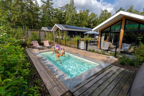 Piscina al aire libre en Pool Lodge, De Thijmse Berg, Países Bajos, rodeada de bosque y alojamientos modernos.