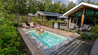 Piscina all'aperto presso Pool Lodge a De Thijmse Berg, Paesi Bassi, circondata da foresta e lodge moderni.