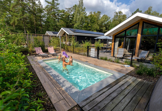 Piscina all'aperto presso Pool Lodge a De Thijmse Berg, Paesi Bassi, circondata da foresta e lodge moderni.