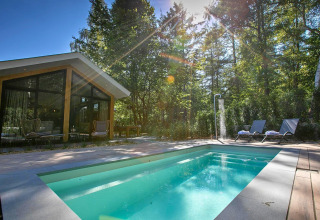 Piscina exterior junto a una moderna cabaña en De Thijmse Berg, Países Bajos, rodeada de árboles y sol.