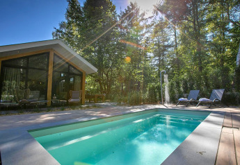 Udendørs pool og moderne lodge ved Thijmse Berg i Holland, omgivet af frodige træer og solskin.