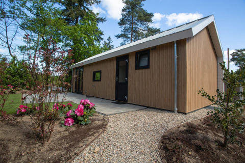 Moderne Eco Cottage Comfort op De Thijmse Berg in Nederland, omgeven door bloemen en groen.