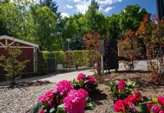 Jardín colorido con flores rosas y árboles en Eco Cottage Comfort, De Thijmse Berg, Países Bajos.
