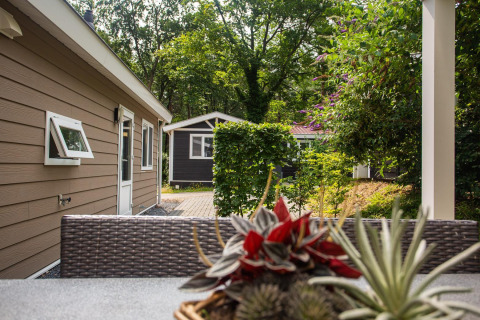 Udendørs udsigt fra terrasse ved Heuvelrug Cottage Comfort på De Thijmse Berg med grønne omgivelser.