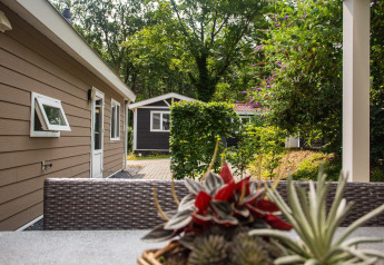Buitenzicht vanaf het terras van Heuvelrug Cottage Comfort op De Thijmse Berg, met omliggende natuur en huisjes.