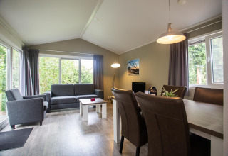 Luminoso soggiorno del Heuvelrug Cottage Comfort a De Thijmse Berg, Paesi Bassi, con arredi moderni.