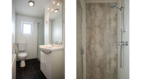 Baño en Heuvelrug Cottage Comfort en De Thijmse Berg, Países Bajos, con amplio lavabo, inodoro y ducha moderna.