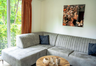 Salón de Family Lodge con sofá gris, arte en la pared y ventana grande en De Thijmse Berg, Países Bajos.