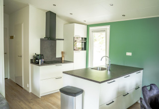 Cocina moderna con isla, fregadero y pared verde en la Family Lodge de De Thijmse Berg, Países Bajos.