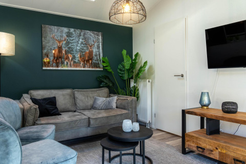 Acogedora sala de Family Lodge con sofá gris, arte de ciervos y decoración moderna en De Thijmse Berg, Países Bajos.