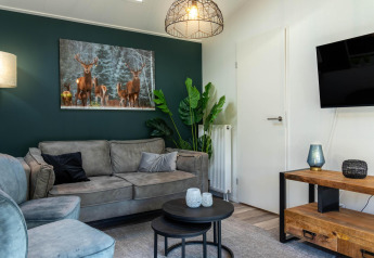 Acogedora sala de Family Lodge con sofá gris, arte de ciervos y decoración moderna en De Thijmse Berg, Países Bajos.