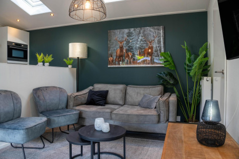 Sala de una moderna cabaña familiar en De Thijmse Berg, Países Bajos, con sofá gris y decoración natural.