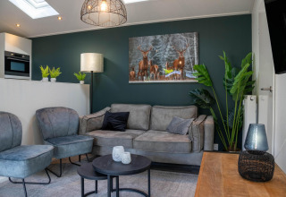 Sala de una moderna cabaña familiar en De Thijmse Berg, Países Bajos, con sofá gris y decoración natural.