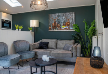 Moderne lodge-stue på De Thijmse Berg i Holland med sofa, grøn accentvæg og natur-inspirerede dekorationer.