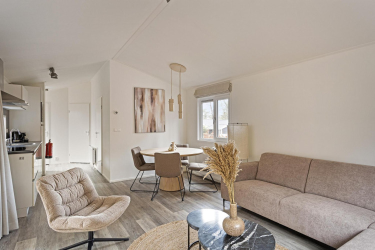 Modernes Wohnzimmer in der Wellness Lodge auf De Thijmse Berg, Niederlande, mit stilvollem Interieur und viel Licht.