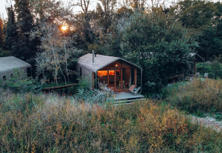 Pequeña casa rodeada de naturaleza y césped alto, con árboles y una terraza iluminada al atardecer.
