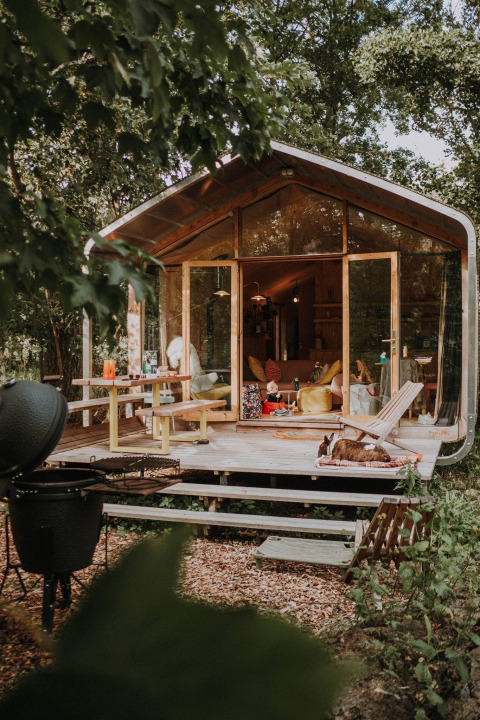 Pequeña casa de madera con paredes de cristal, terraza abierta y un perro descansando en el bosque.