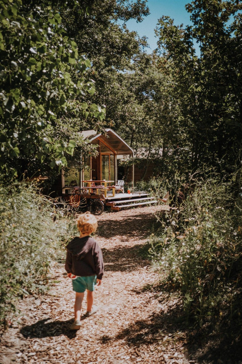Een jong kind wandelt op een bosweg richting een tiny house, omringd door groene bladeren en bomen.