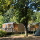 Mobile home Cottage nestled among trees with a tent pitched in front, surrounded by lush greenery.