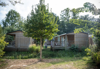 Two wooden mobile home cottages among greenery and trees at Camping de Strasbourg, France.