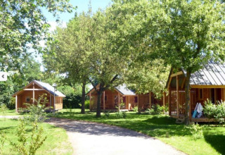 Sunny wooden cabins at Chalet Montana, Camping de l'Ill - Colmar in France, surrounded by green trees.