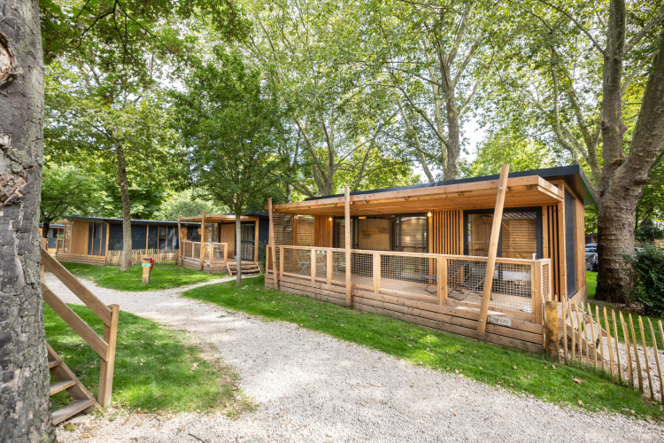 Moderne Holzhütten bei Chalet Columbia im Grünen, schattige Wege und große Bäume im Hintergrund.