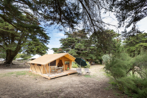 La tienda safari Tente Toile&Bois Classic se encuentra instalada en un camping rodeado de árboles altos.