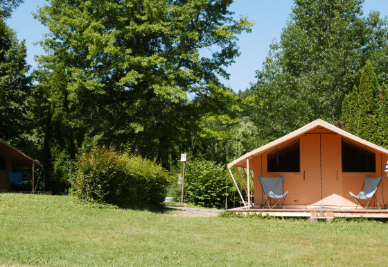 Tenda bungalow safari CLASSIC IV in campeggio erboso, circondata da alberi, con sedie davanti.
