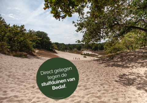 Zandduinen en bomen bij tiny house Heydehuis in Sandberghe, Nederland, pal tegen de stuifduinen van Bedaf.