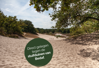 Zandduinen en bomen bij tiny house Heydehuis in Sandberghe, Nederland, pal tegen de stuifduinen van Bedaf.