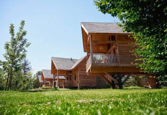 Wooden lodges at Heydehuis + Jacuzzi at Sandberghe in the Netherlands, with trees and green grass.