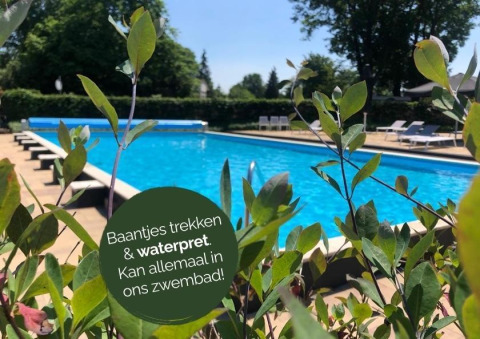 Piscina al aire libre en Heydehuis + Jacuzzi glamping, rodeada de plantas y tumbonas, en un día soleado.