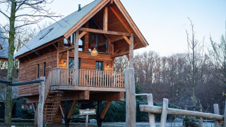 Baumhaus auf Stelzen mit Balkon im Sandberghe in den Niederlanden, umgeben von Bäumen und Natur.