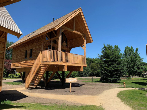 Boomhut met balkon en trap bij Sandberghe in Nederland, omgeven door groen en een heldere blauwe lucht.