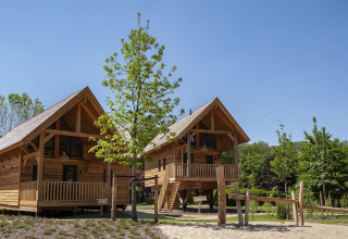 Two wooden tree houses with Jacuzzi at Sandberghe, Netherlands, set among greenery on a clear sunny day.
