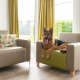 A German Shepherd relaxes on an armchair in a modern living room at Comfort Lodge, Kompas Camping Nieuwpoort, Belgium.