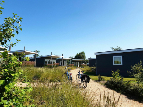 Cabañas modernas de glamping con bicicletas delante, rodeadas de césped alto y cielo azul despejado.