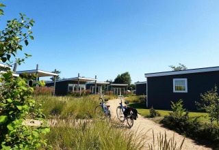Moderne glampingaccommodaties met fietsen voor de deur, omringd door hoge grassen en blauwe lucht.