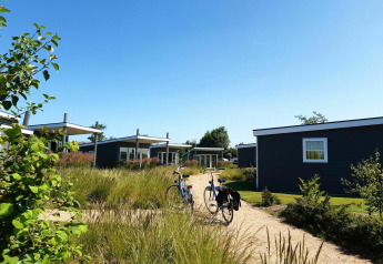 Cabañas modernas de glamping con bicicletas delante, rodeadas de césped alto y cielo azul despejado.