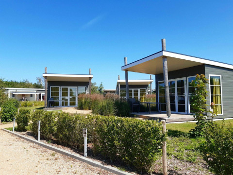 Modern glamping cabins with large windows and terraces, surrounded by greenery under a clear blue sky.