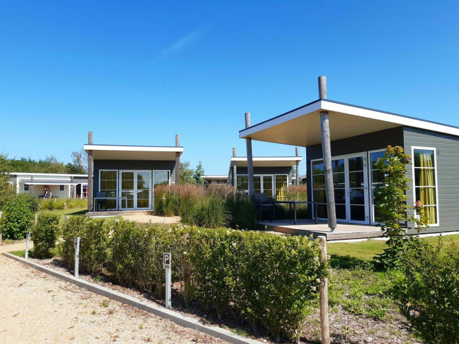 Cabañas modernas de glamping con amplios ventanales y terrazas, rodeadas de vegetación bajo el cielo azul.