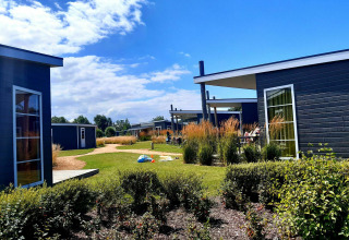 Modern glamping cabins with large windows, green landscaping, and people relaxing under a sunny sky.